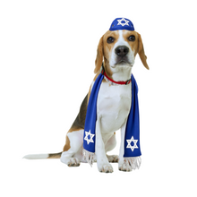 Load image into Gallery viewer, Pets Yarmulke and Tallis Hanukkah Set with Star of David. Beagle. Medium dogs. From HalloweenCostumes4U.com by Boots and Brothers