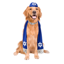 Load image into Gallery viewer, Pets Yarmulke and Tallis Hanukkah Set with Star of David - Boots and Brothers Costumes &amp; Accessories - HalloweenCostumes4U.com - Pet Costumes &amp; Accessories