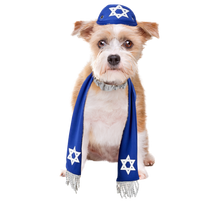 Load image into Gallery viewer, Pets Yarmulke and Tallis Hanukkah Set with Star of David. Terrier. Smalls dogs. From HalloweenCostumes4U.com by Boots and Brothers